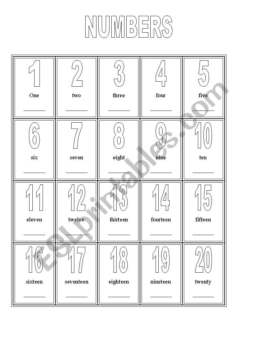 picture dictionary numbers worksheet