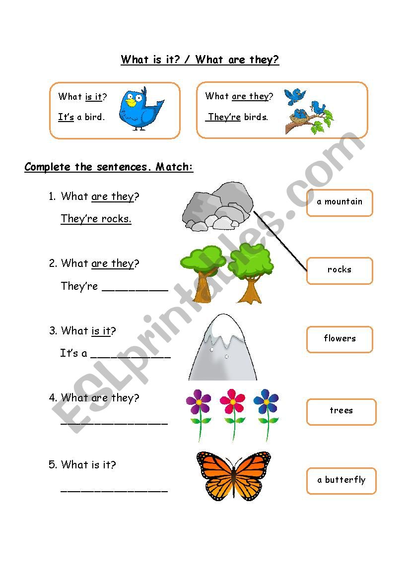 What is it? - What are they? worksheet