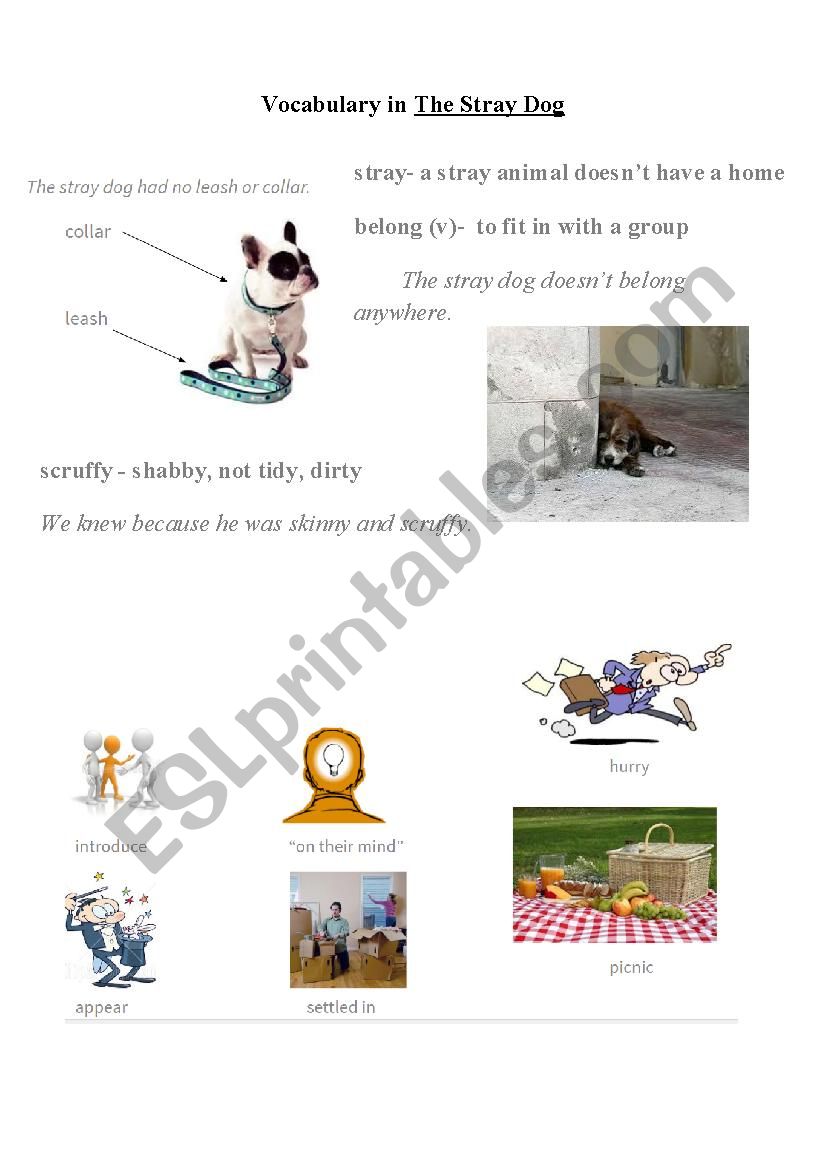 Vocabulary The Stray Dog by Marc Simont