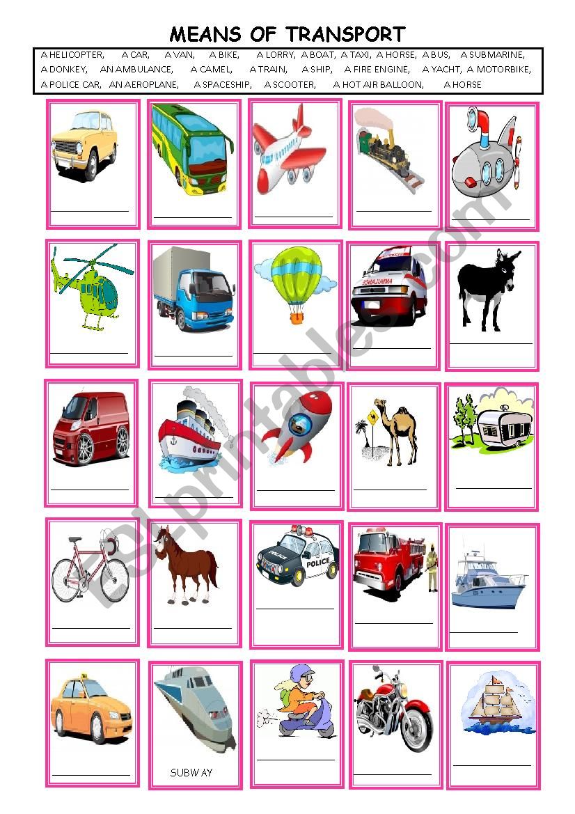 Means of transport worksheet