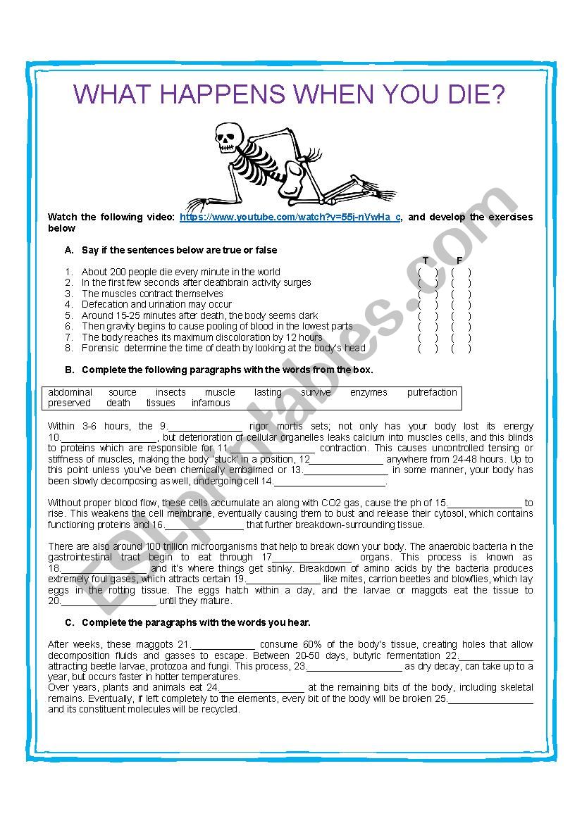 WHAT HAPPENS WHEN YOU DIE? worksheet