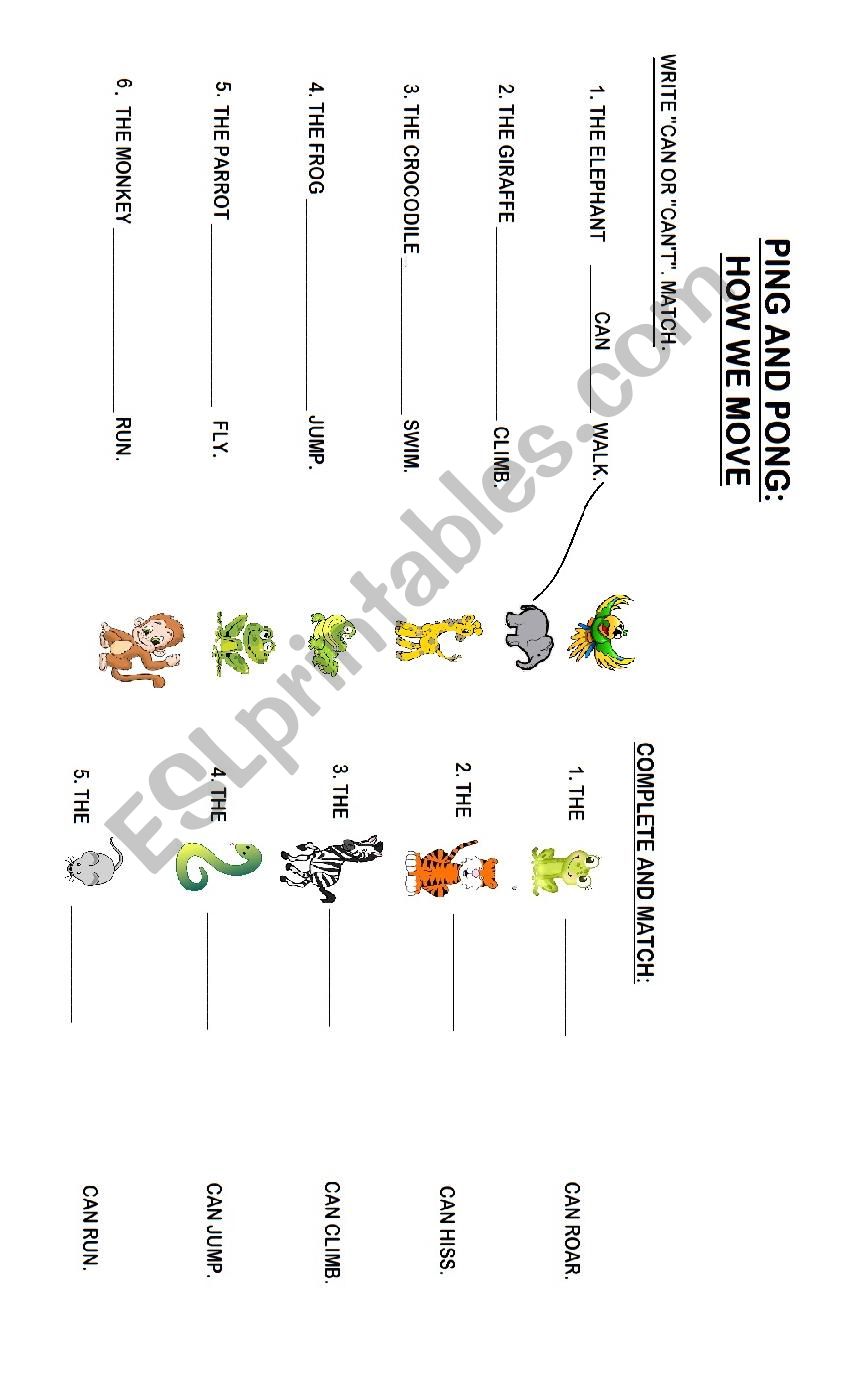 CAN / CANT - ANIMALS worksheet