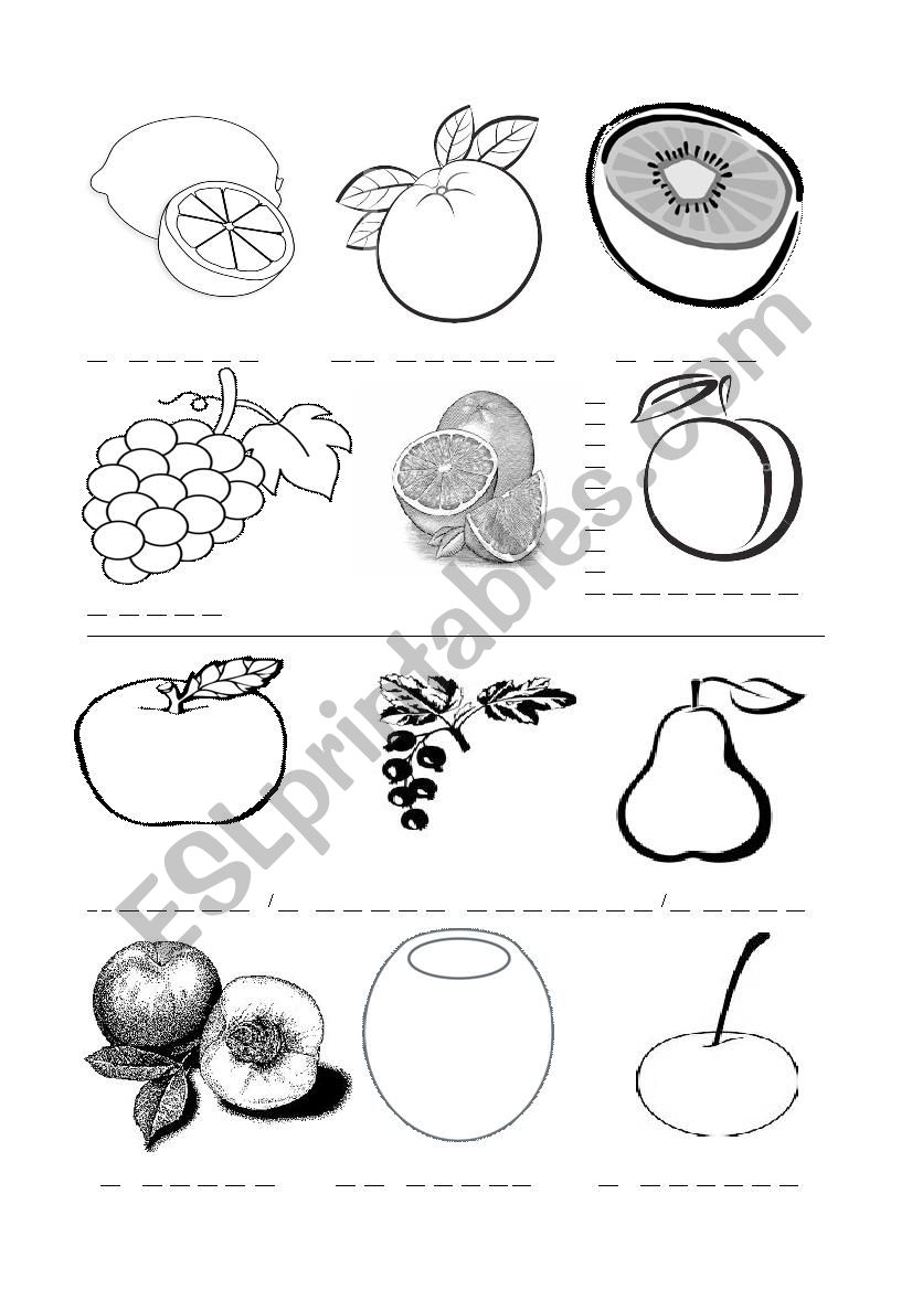 Plants 1/5 worksheet