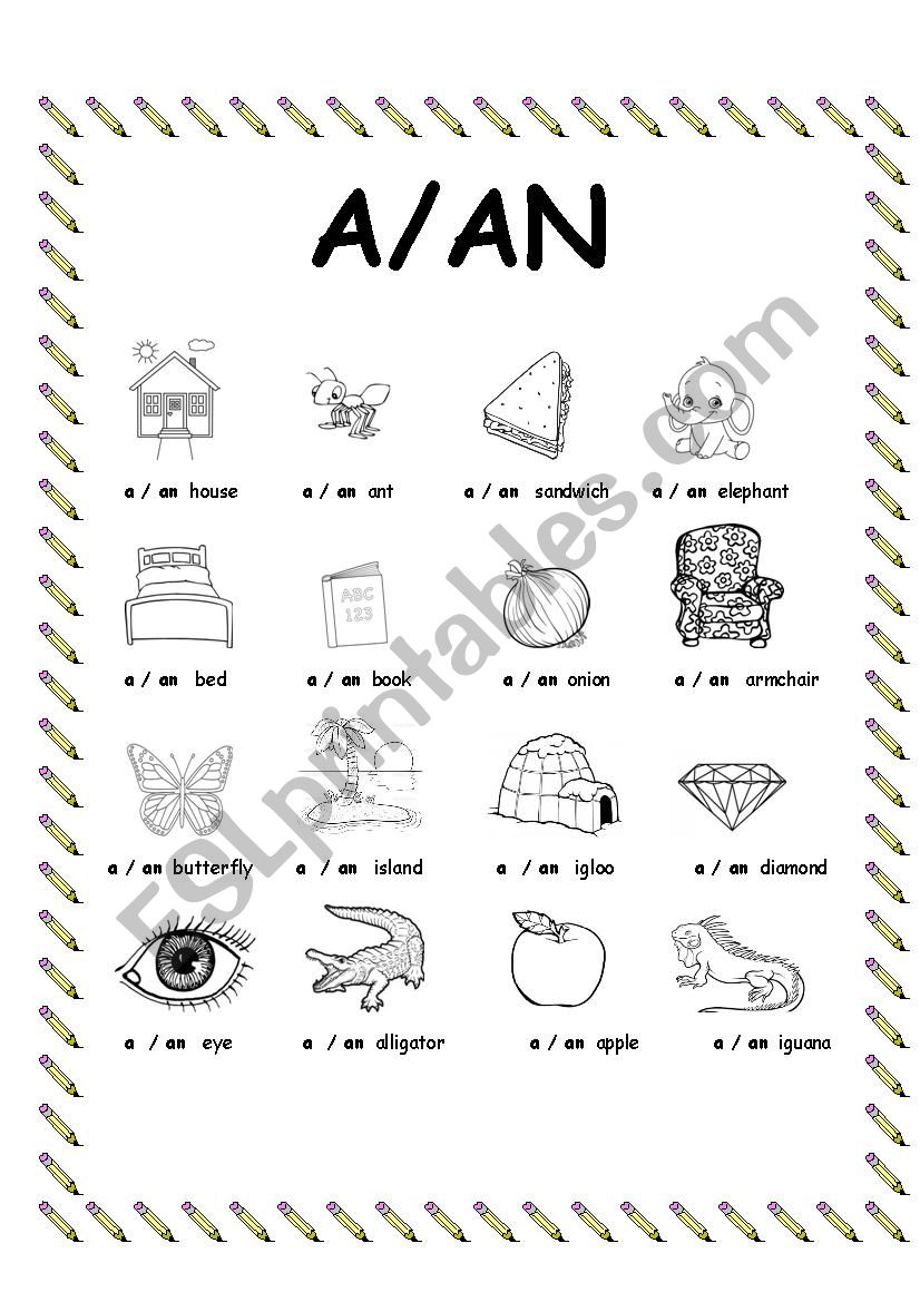 Indefinite article A or An worksheet