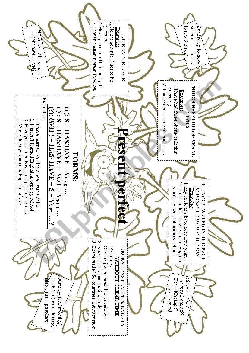 Present Perfect: Summary worksheet