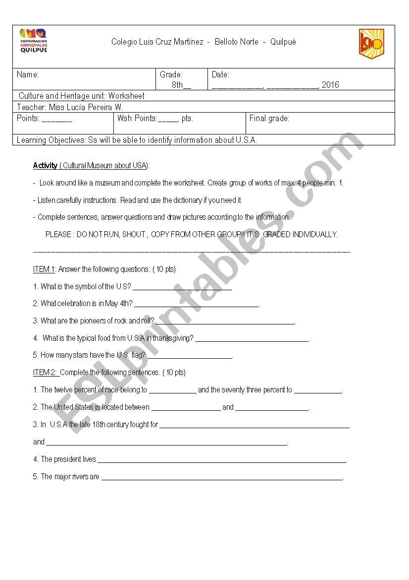 usa information  worksheet