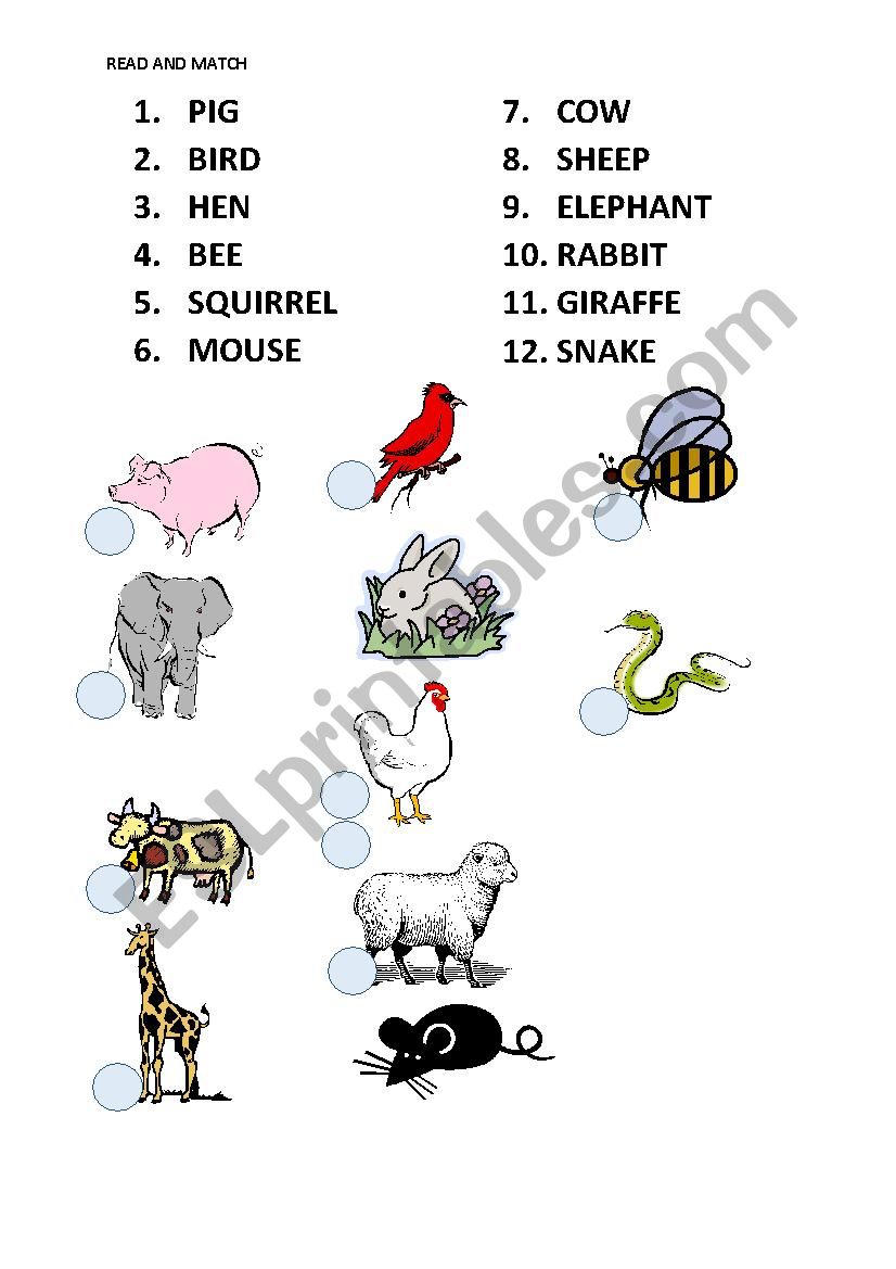 Animals worksheet