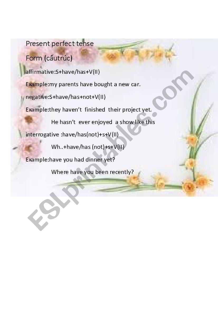 present perfect tense worksheet