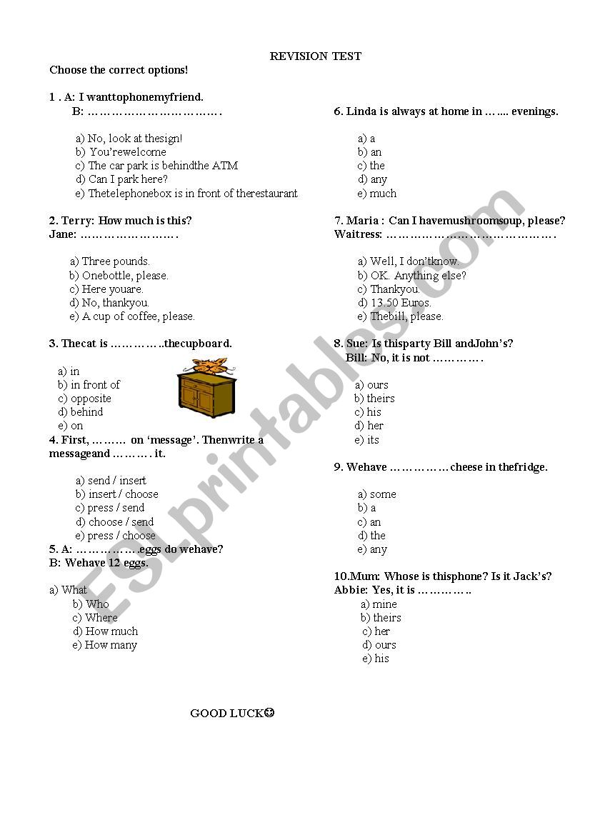 REVISION TEST worksheet
