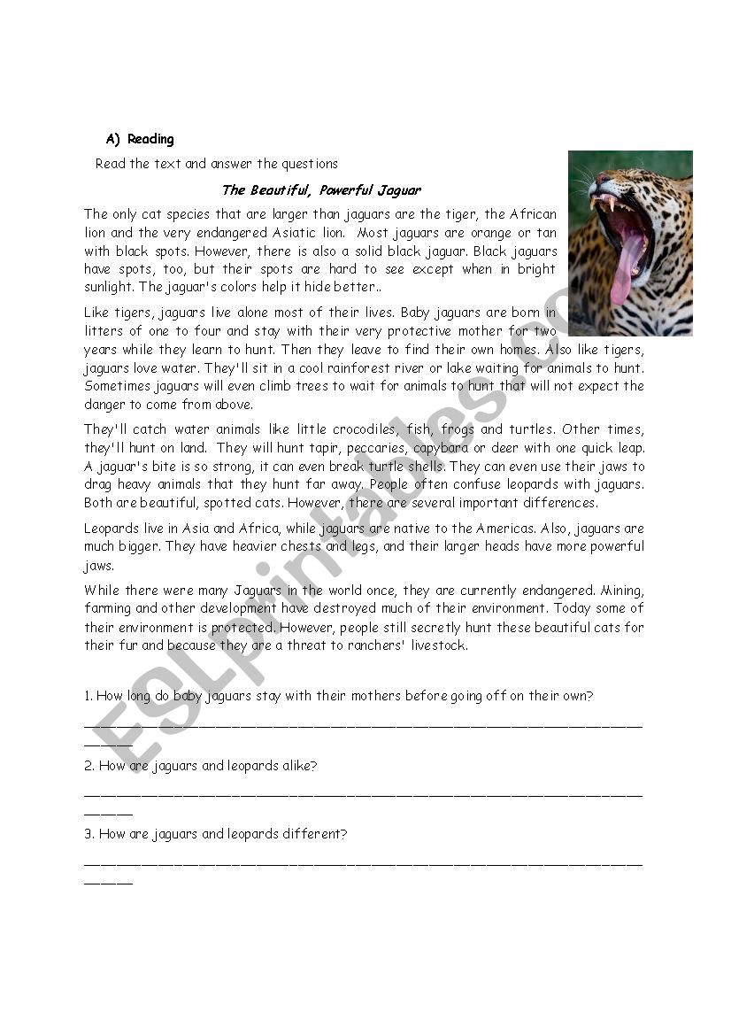 reading activity worksheet