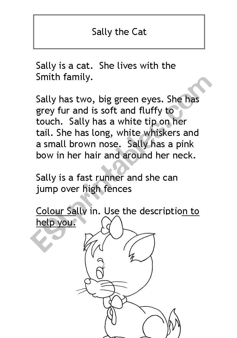 Sally the Cat worksheet