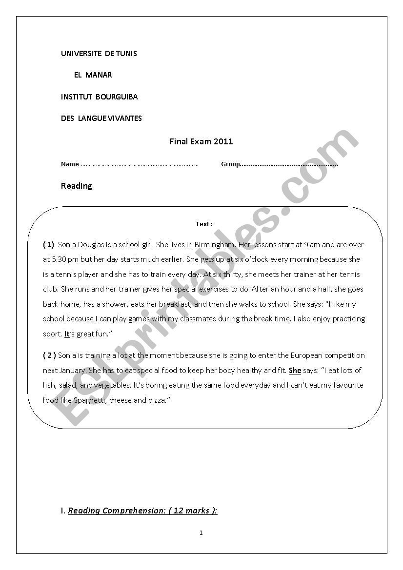 reading  comprehension worksheet