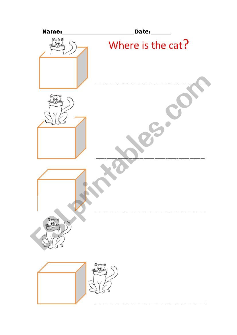 Wheres the cat? worksheet