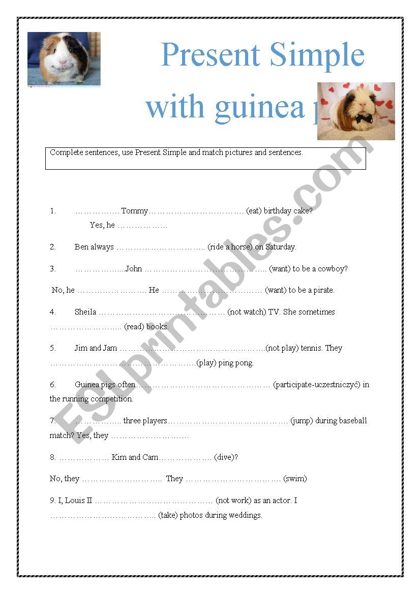 Present Simple with the guinea pigs