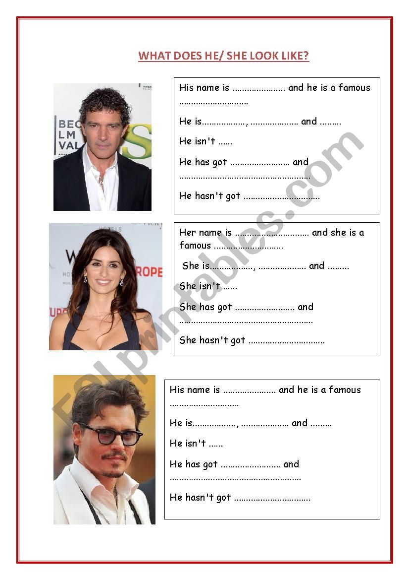 WHAT DOES HE/ SHE LOOK LIKE? worksheet