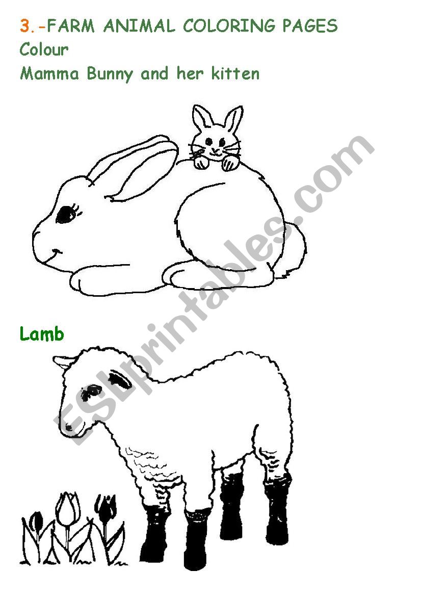 farm animals worksheet
