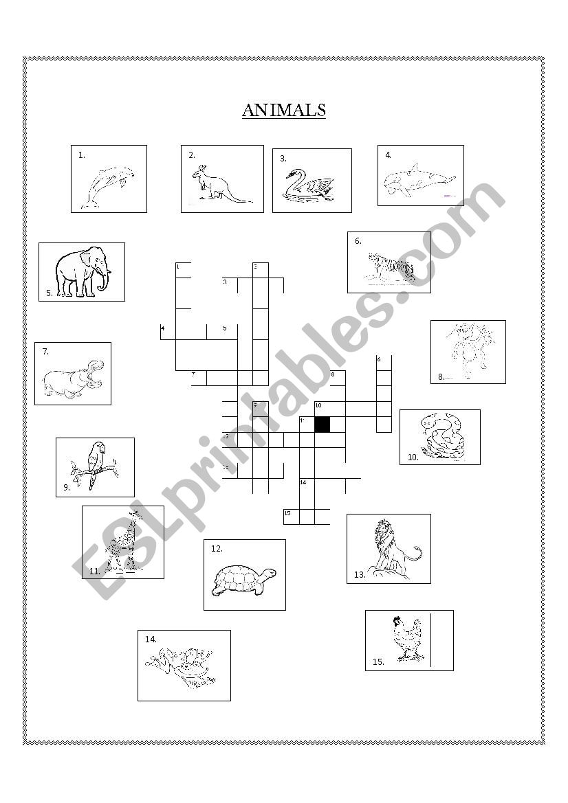 Animals worksheet