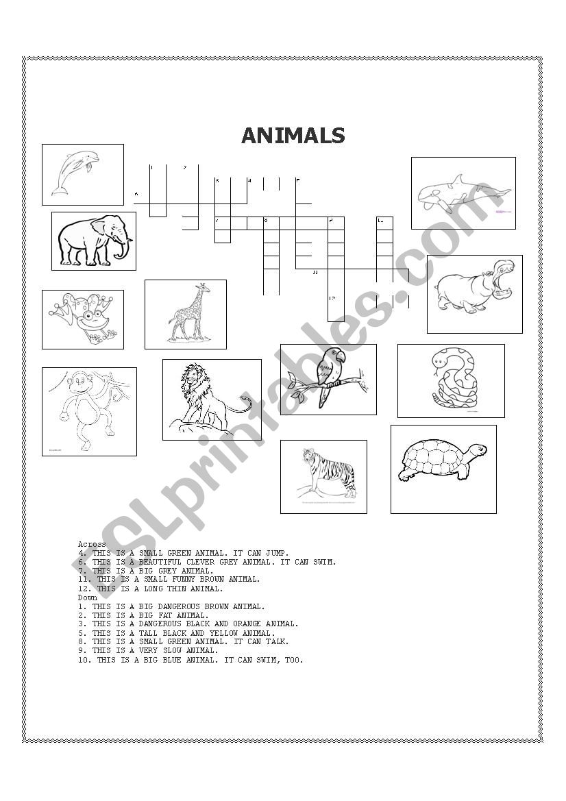 Animals worksheet