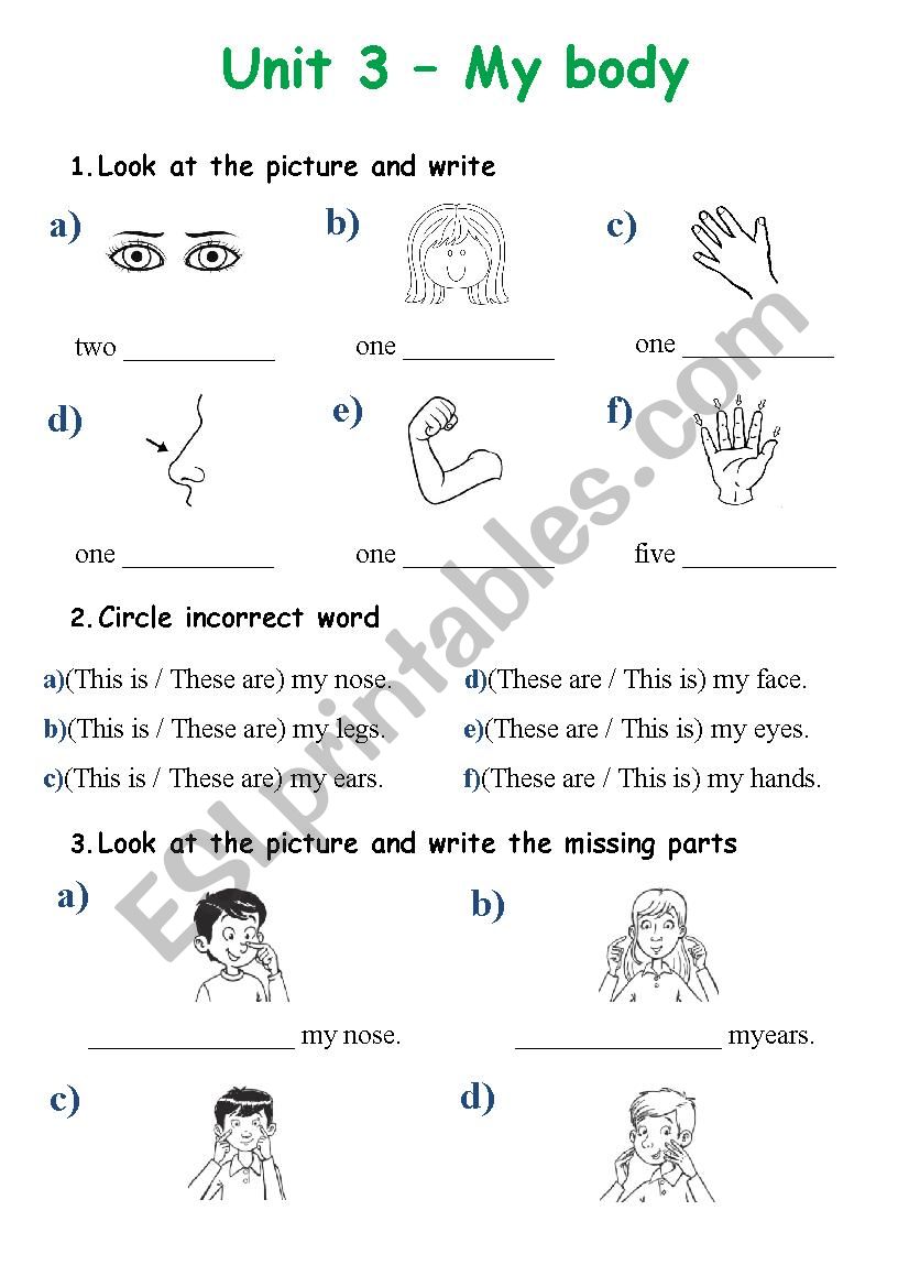 Body. This is - These are worksheet