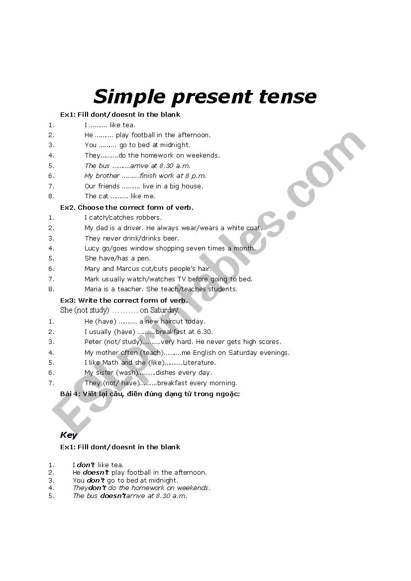 present simple tense worksheet