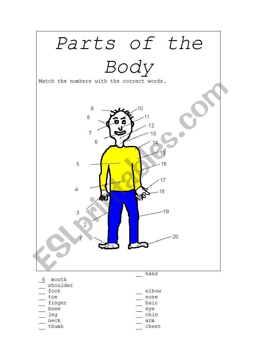 Parts of the Body worksheet