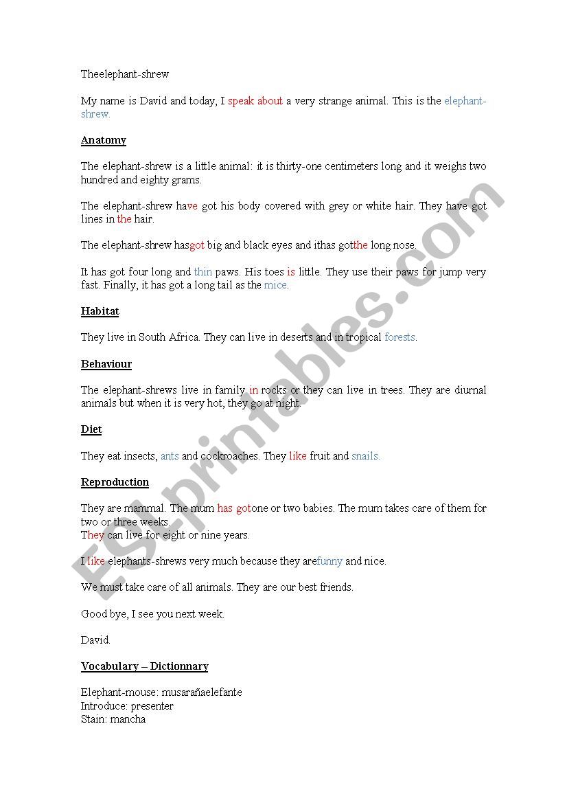 colors worksheet