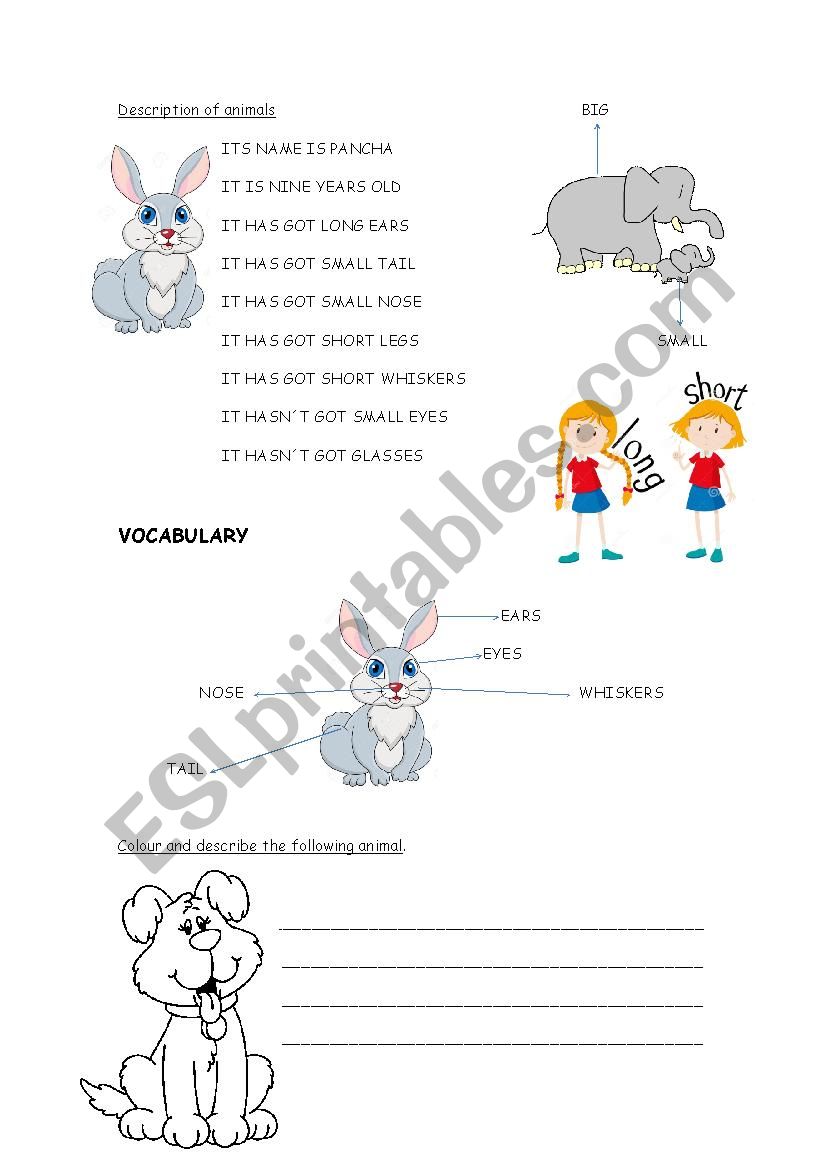 description of animals worksheet