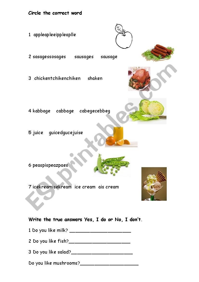 food  worksheet