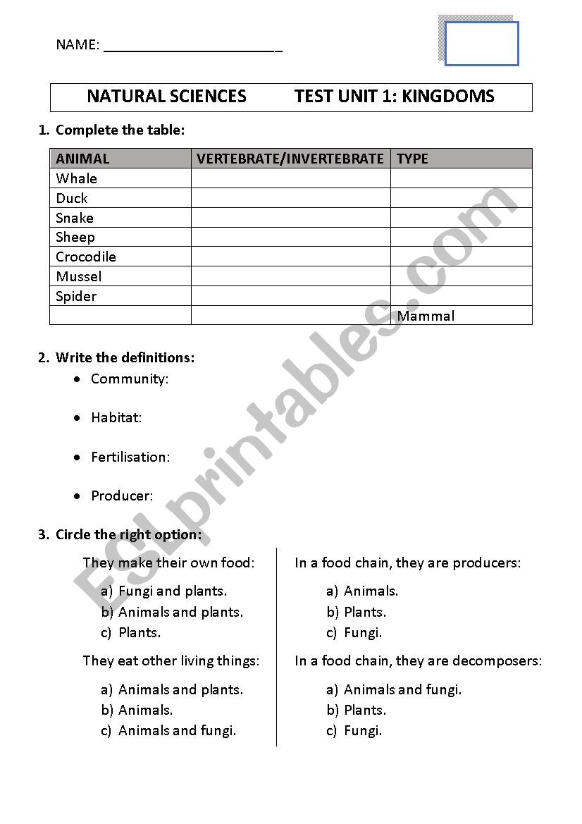 Animals test worksheet