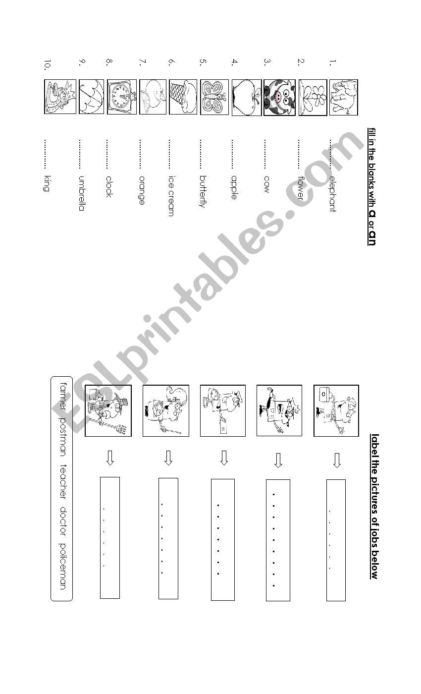 articles a or an and labeling pictures