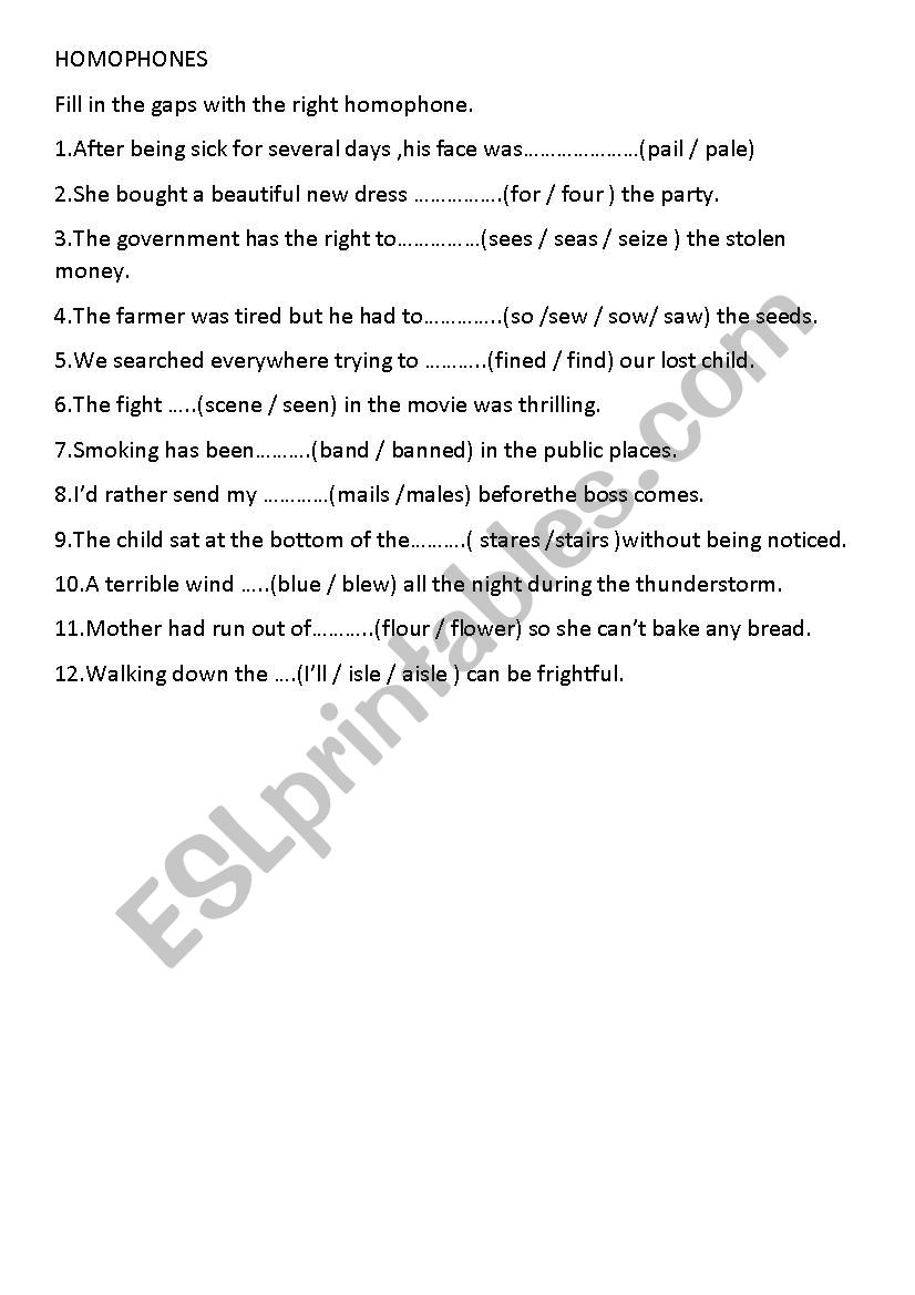 homophones worksheet