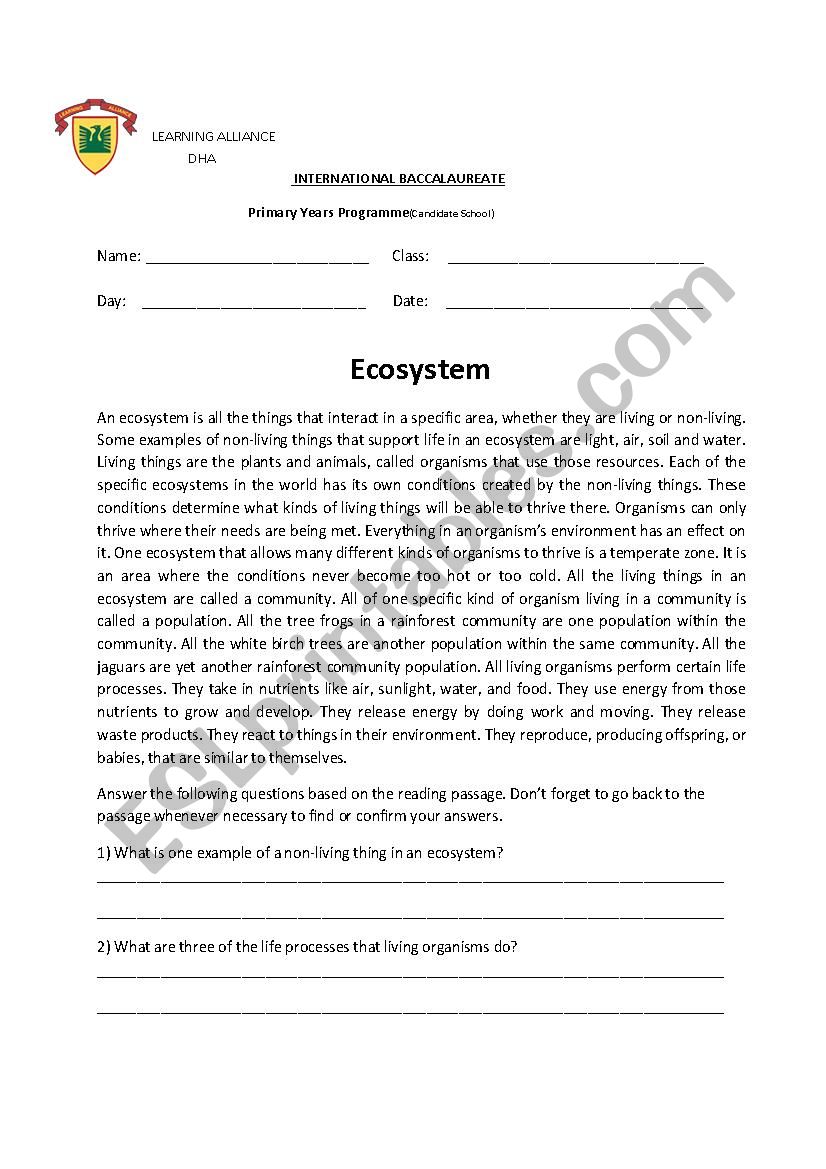 Ecosystem worksheeet worksheet