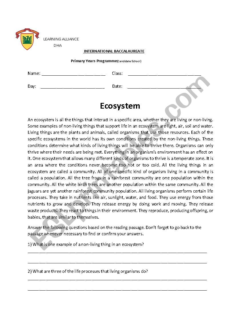 Ecosystem worksheeet worksheet