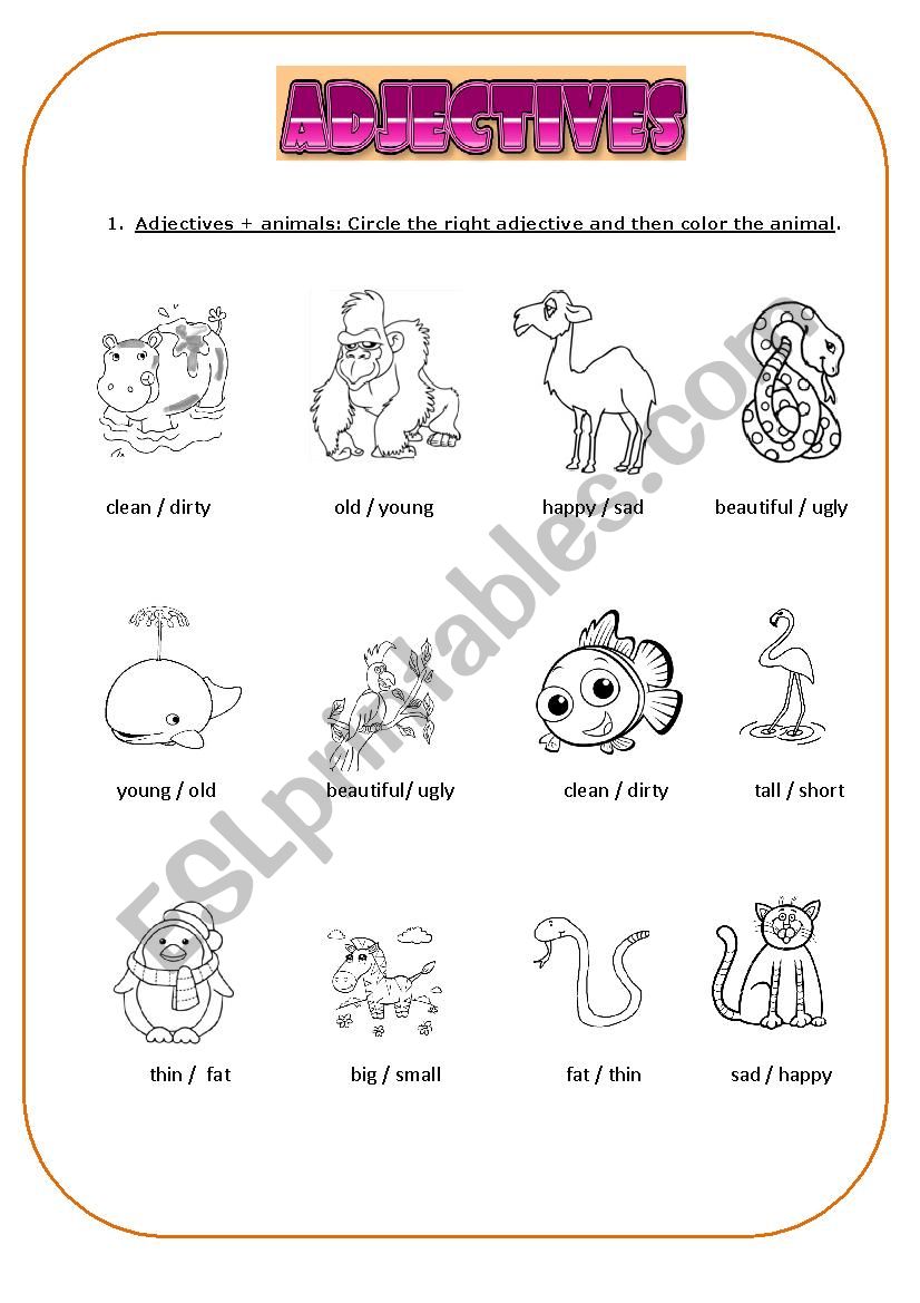 Ajectives and animals - right place of adjective in sentences-unscramble adjectives