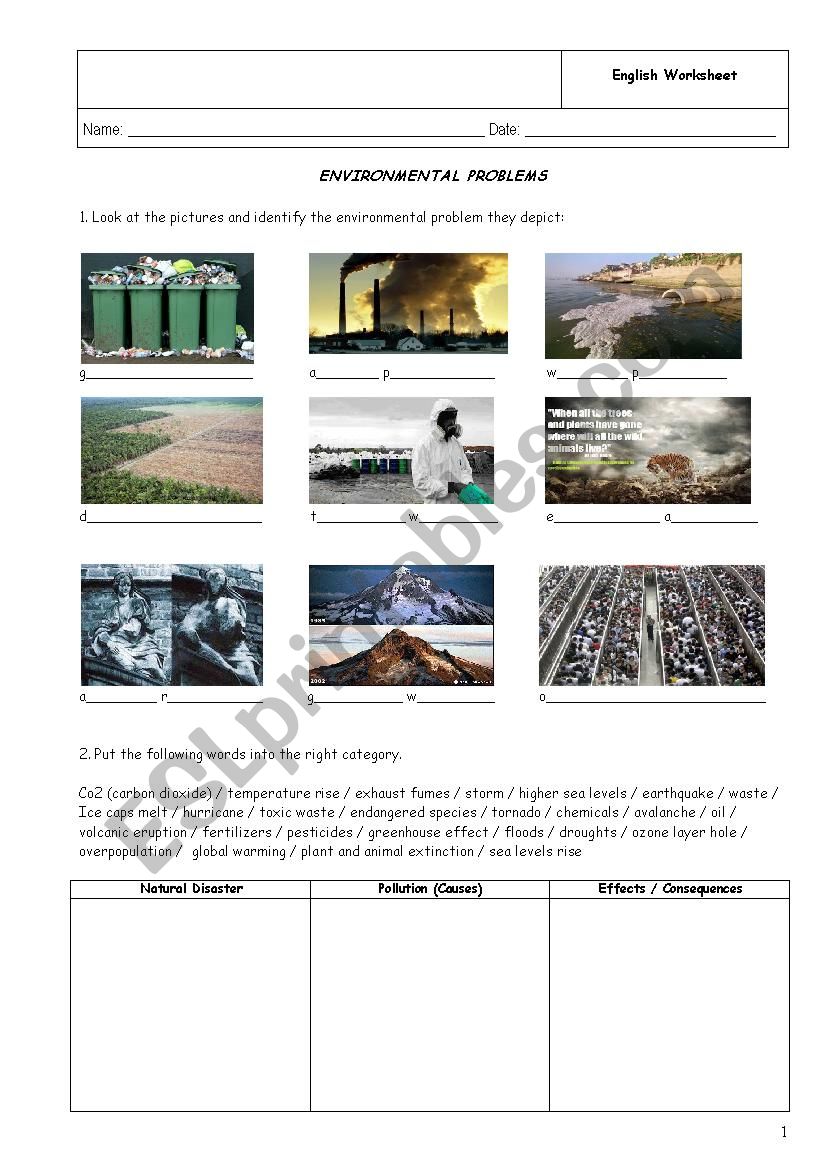 Environmental Problems worksheet