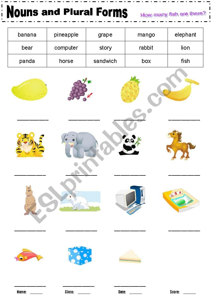 Nouns & Plural Forms worksheet