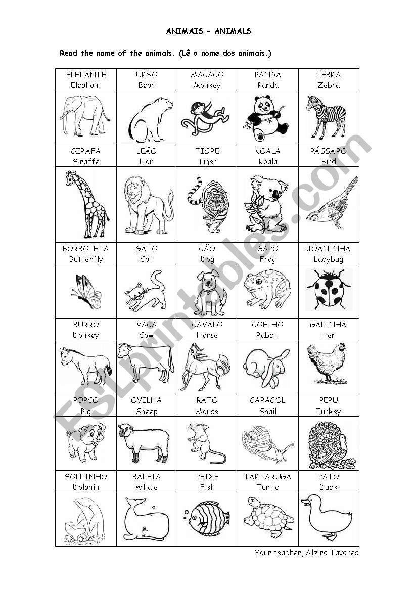 List of animals worksheet