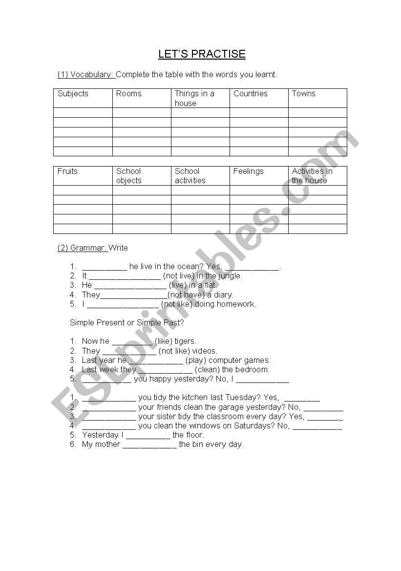 VOCABULARY + GRAMMAR worksheet