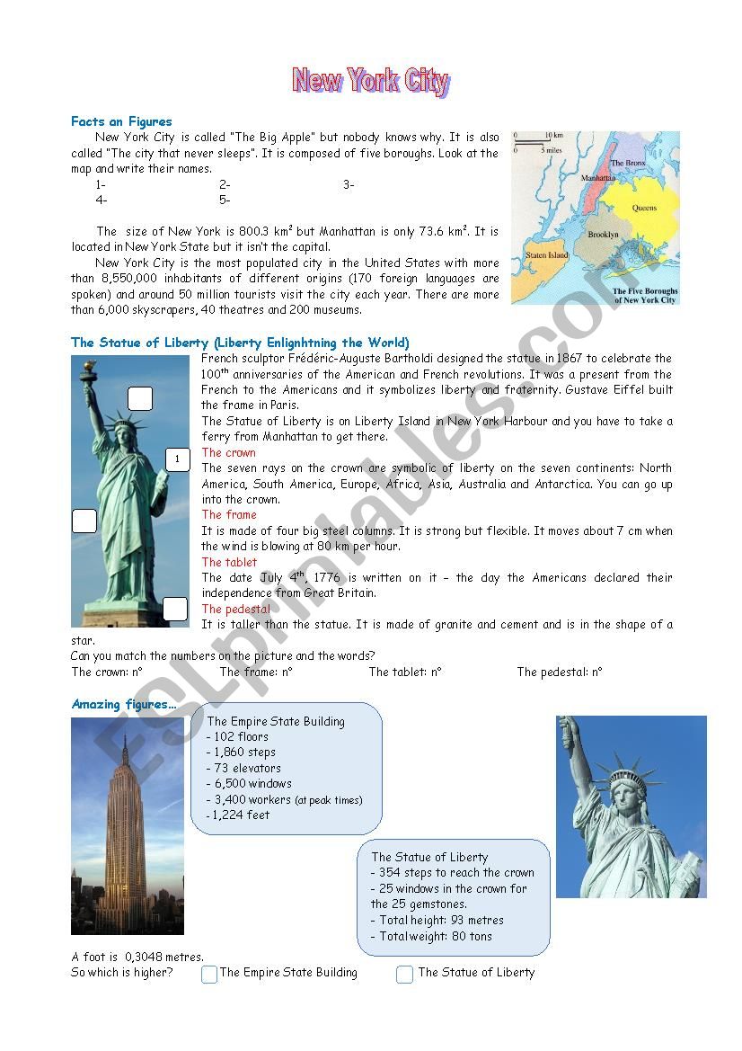 New York  worksheet