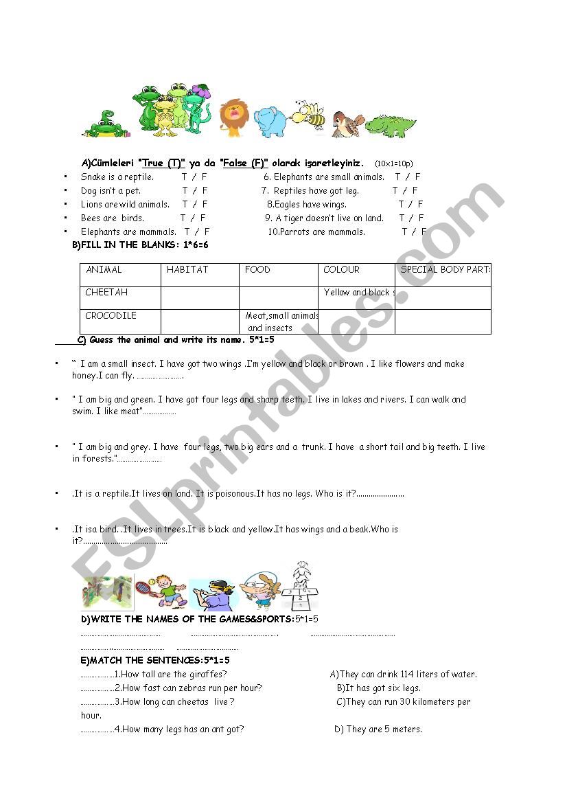 animals worksheet