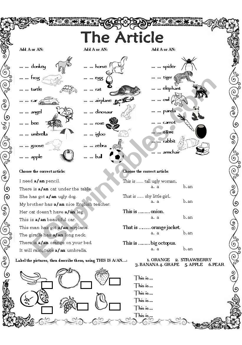 THE ARTICLE worksheet