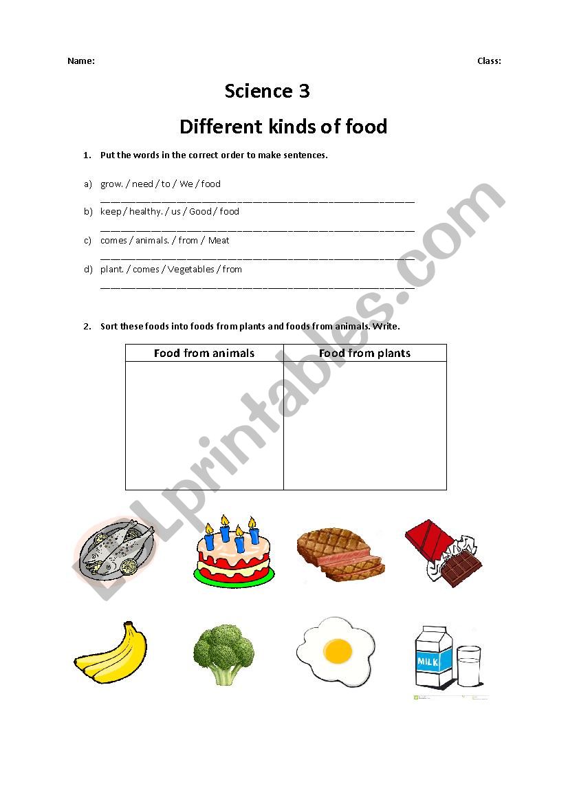 Different kinds of food worksheet