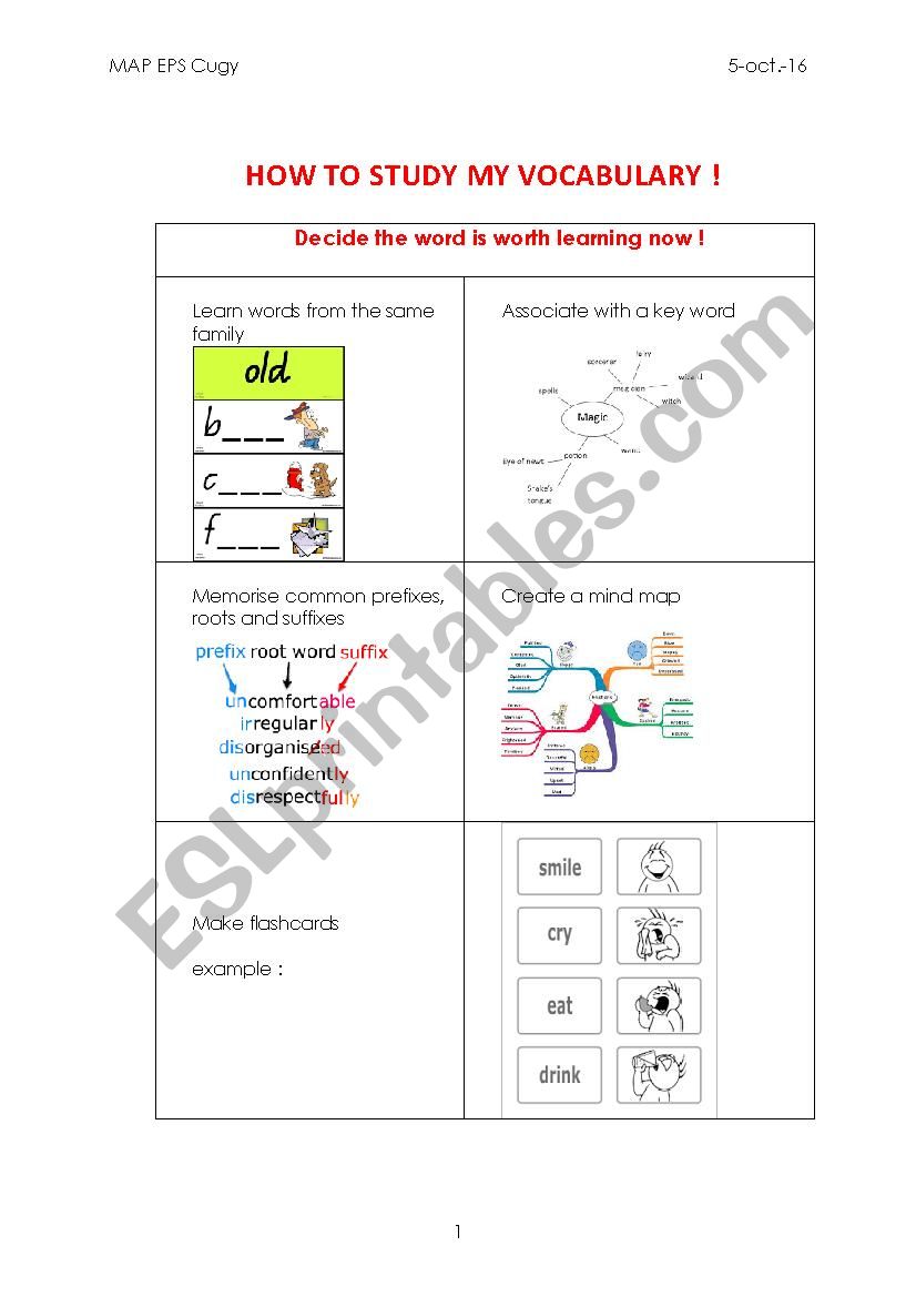 Steps to study my vocabulary worksheet