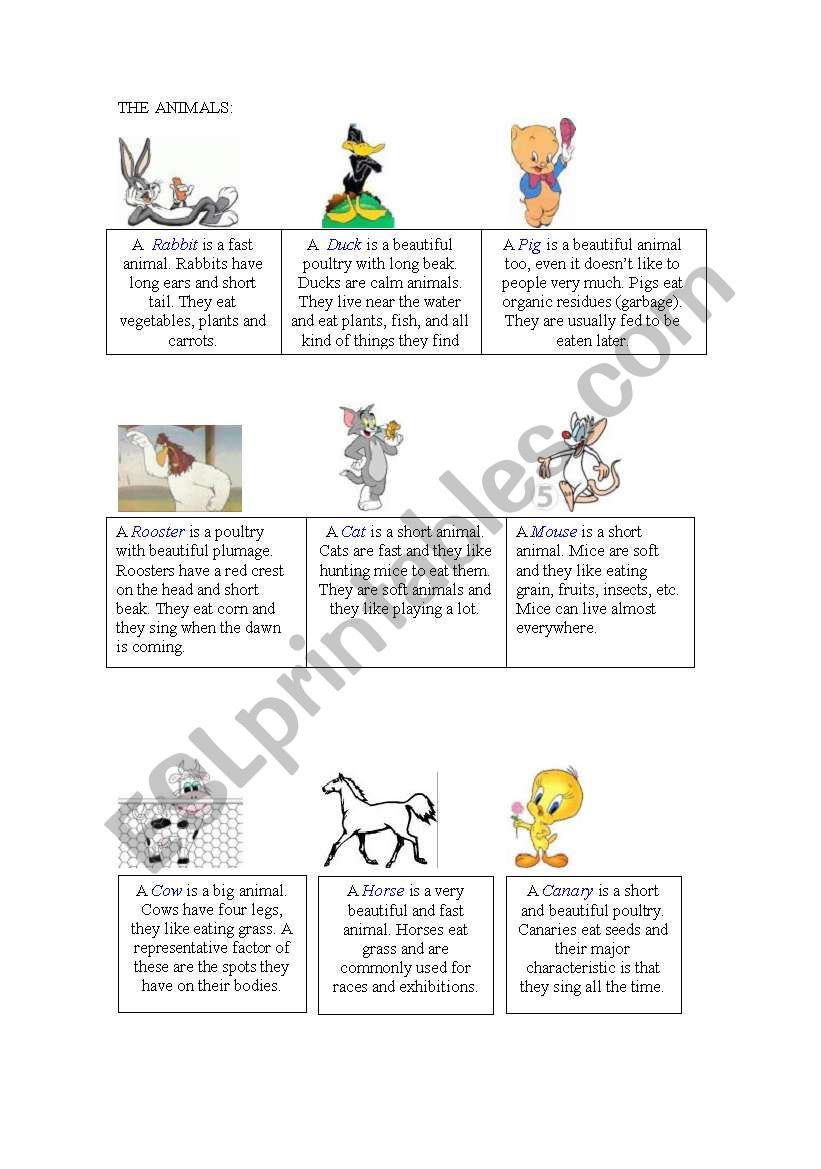TEACHING ANIMALS worksheet