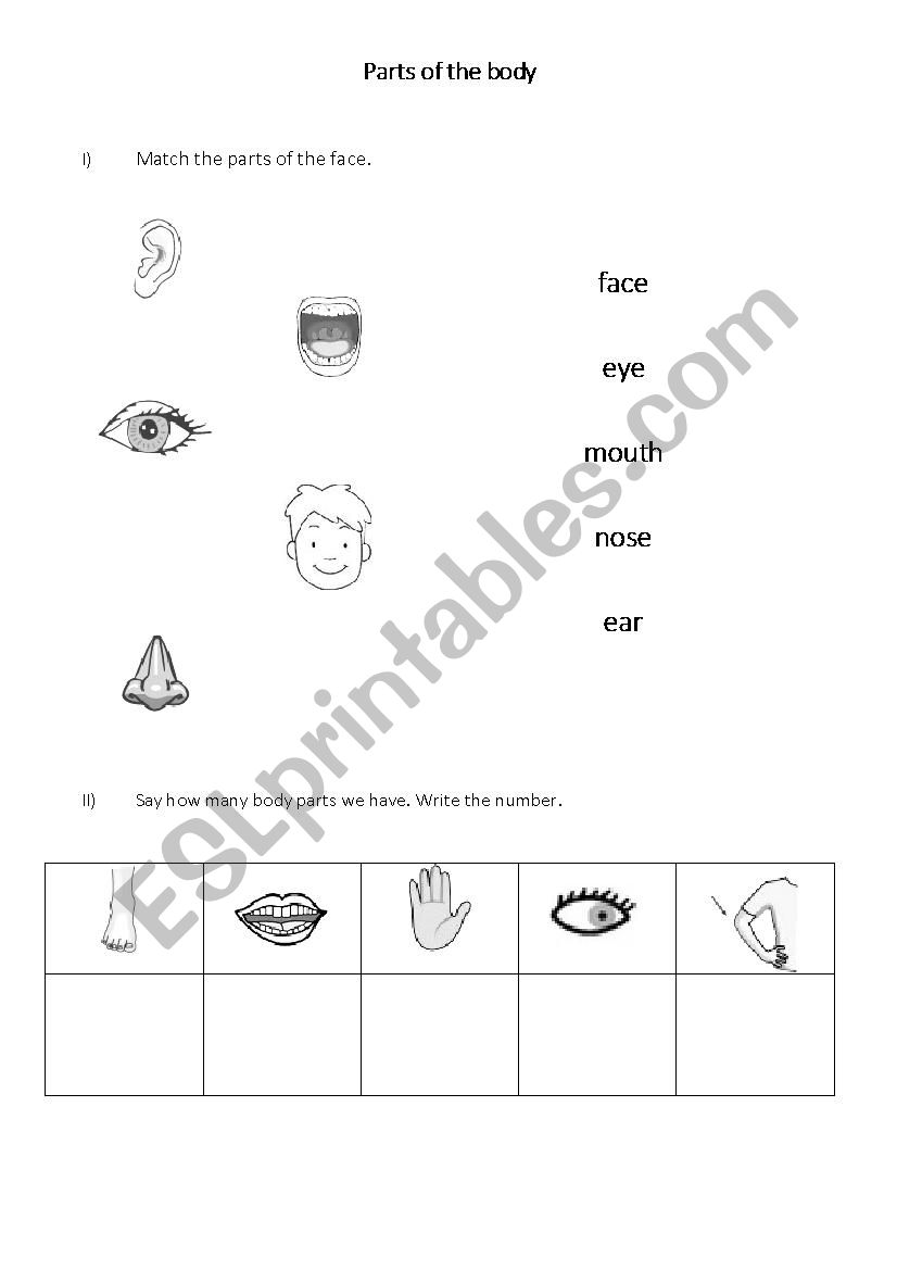 Parts of the body - face worksheet