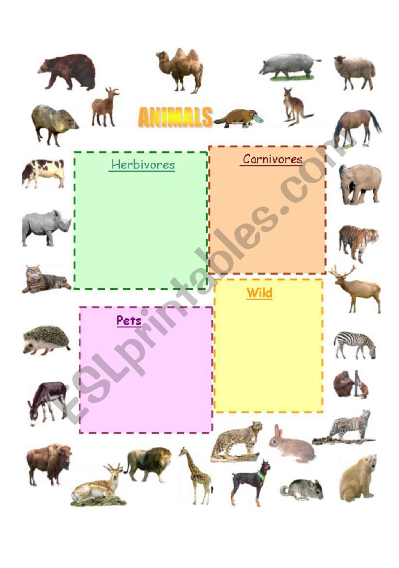 animals  worksheet