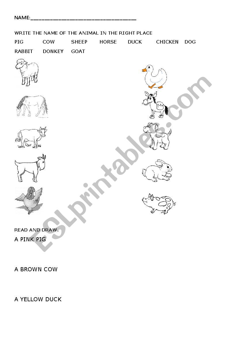 Farm animals worksheet