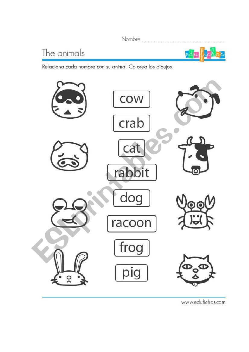 Animals worksheet