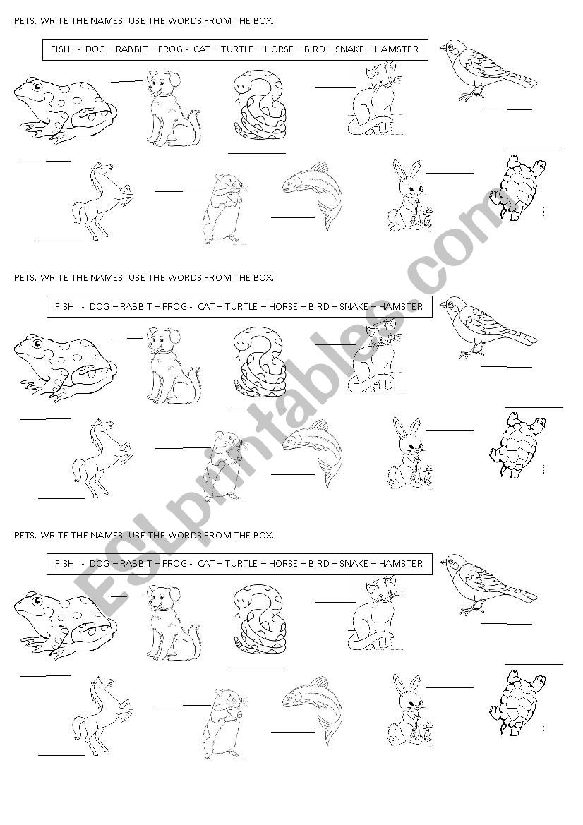 PETS worksheet