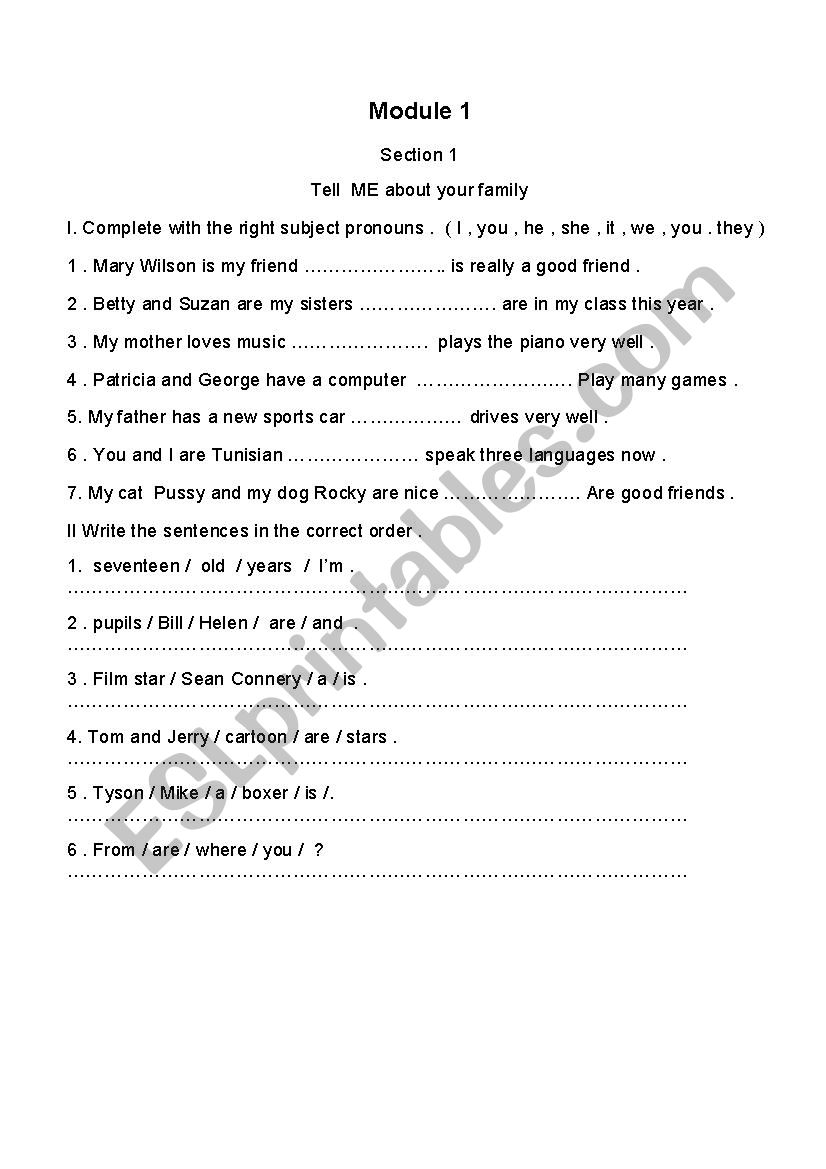 module 1 section 1 worksheet